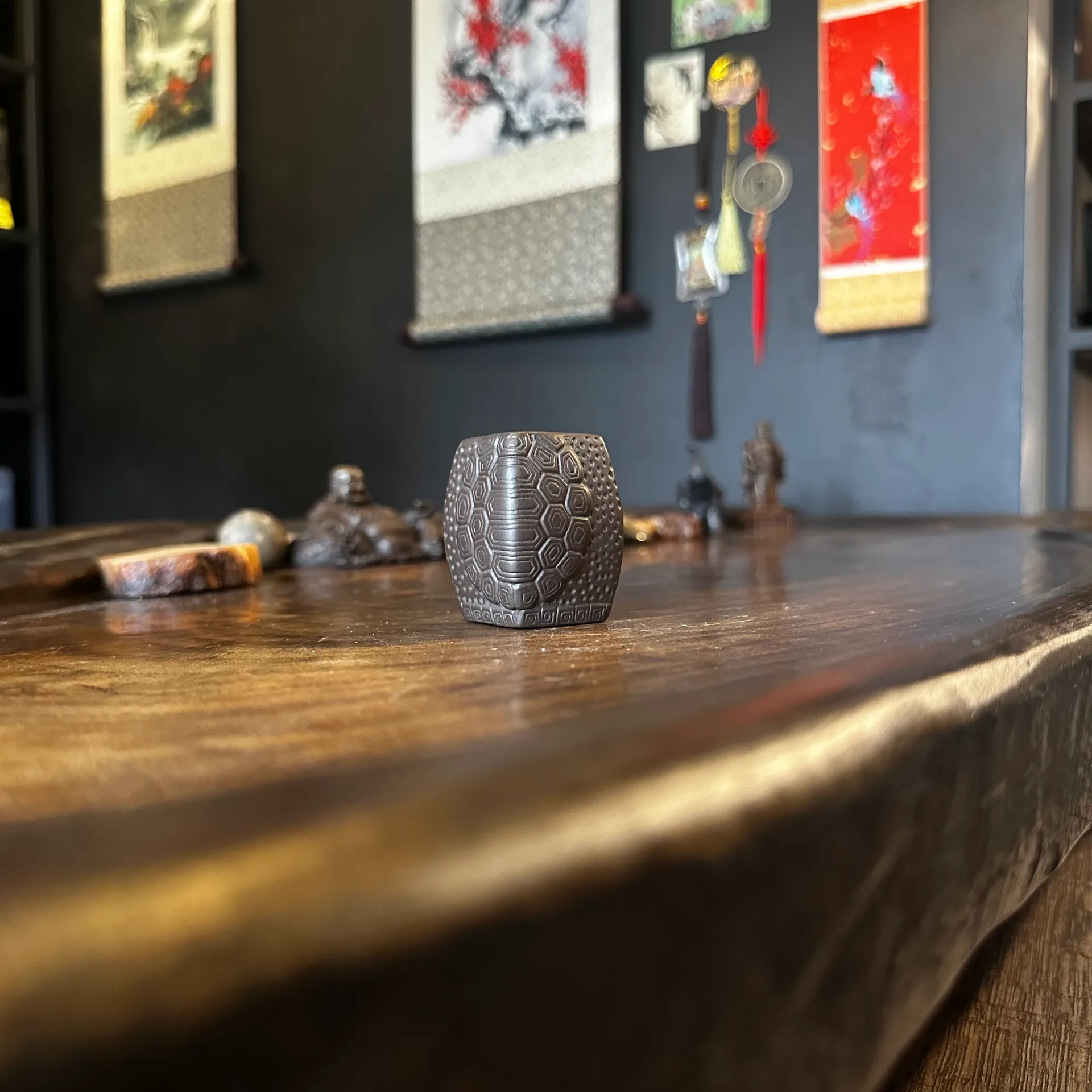 Панцирь с монетой